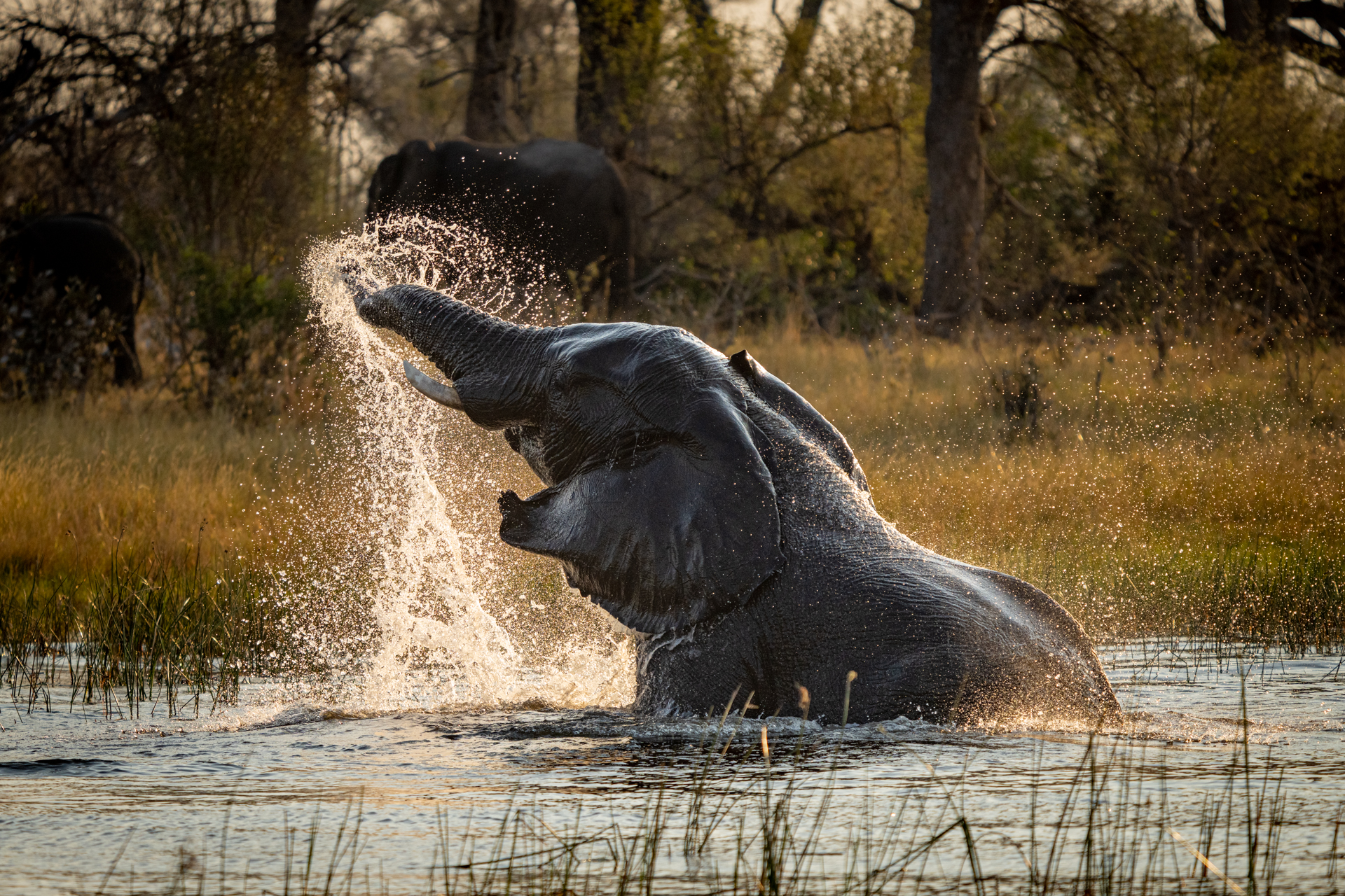 Botswana 2022-16