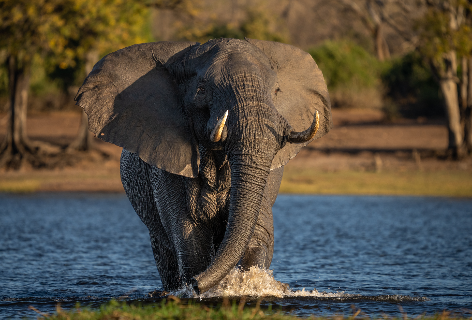 Botswana 2022-6