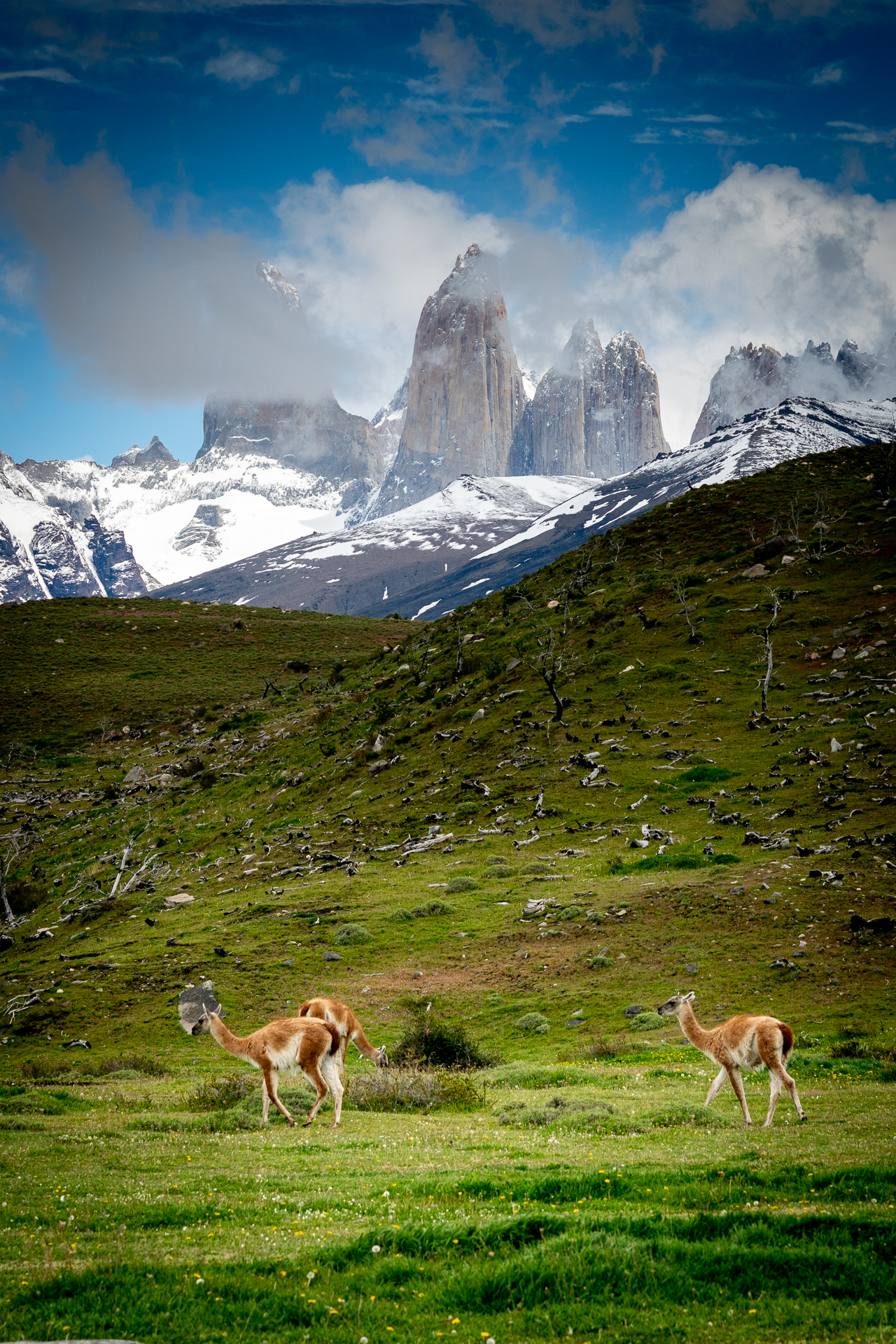 Chile 2019 (5 of 8)