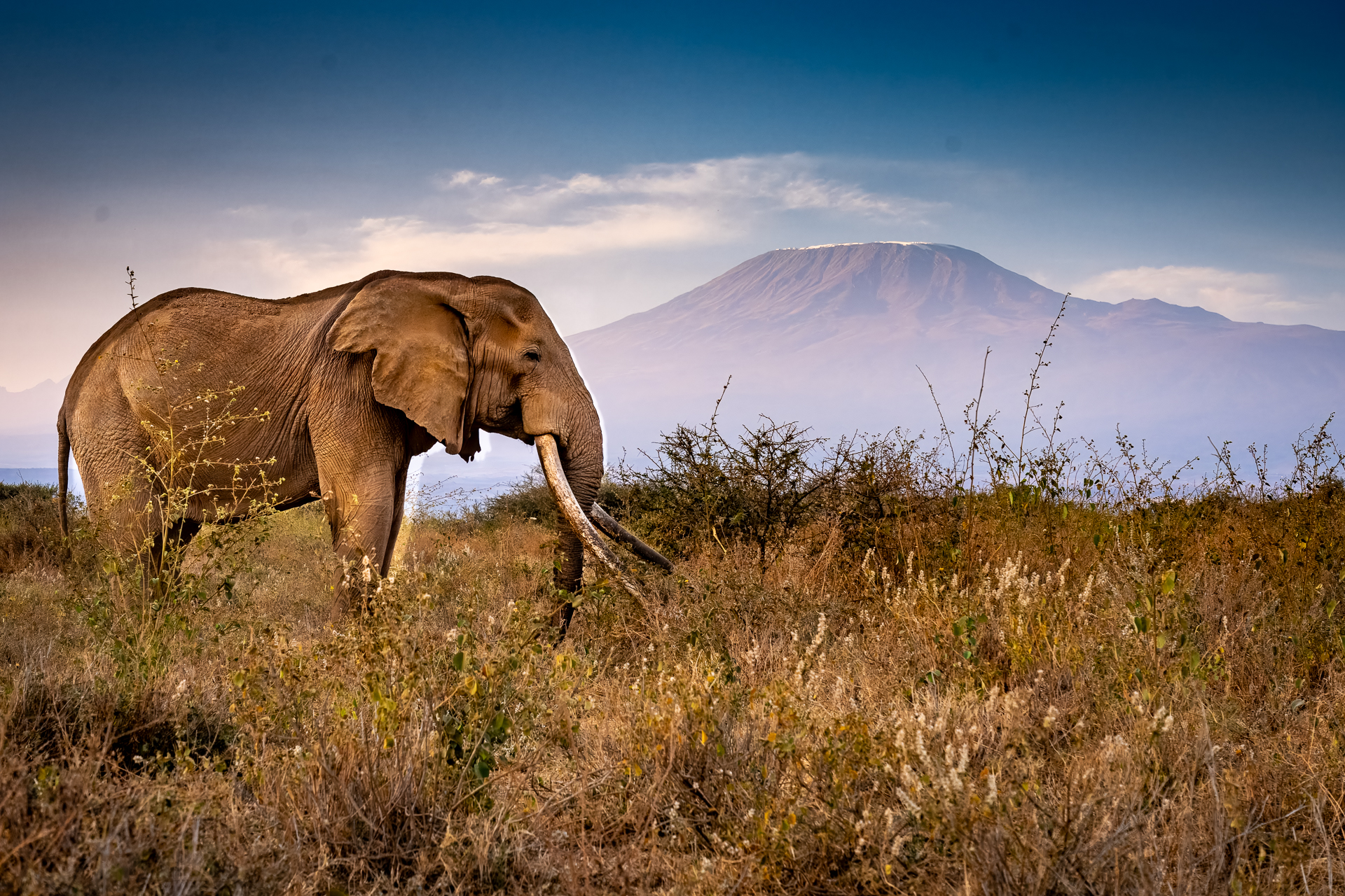 Kenya 2024-1