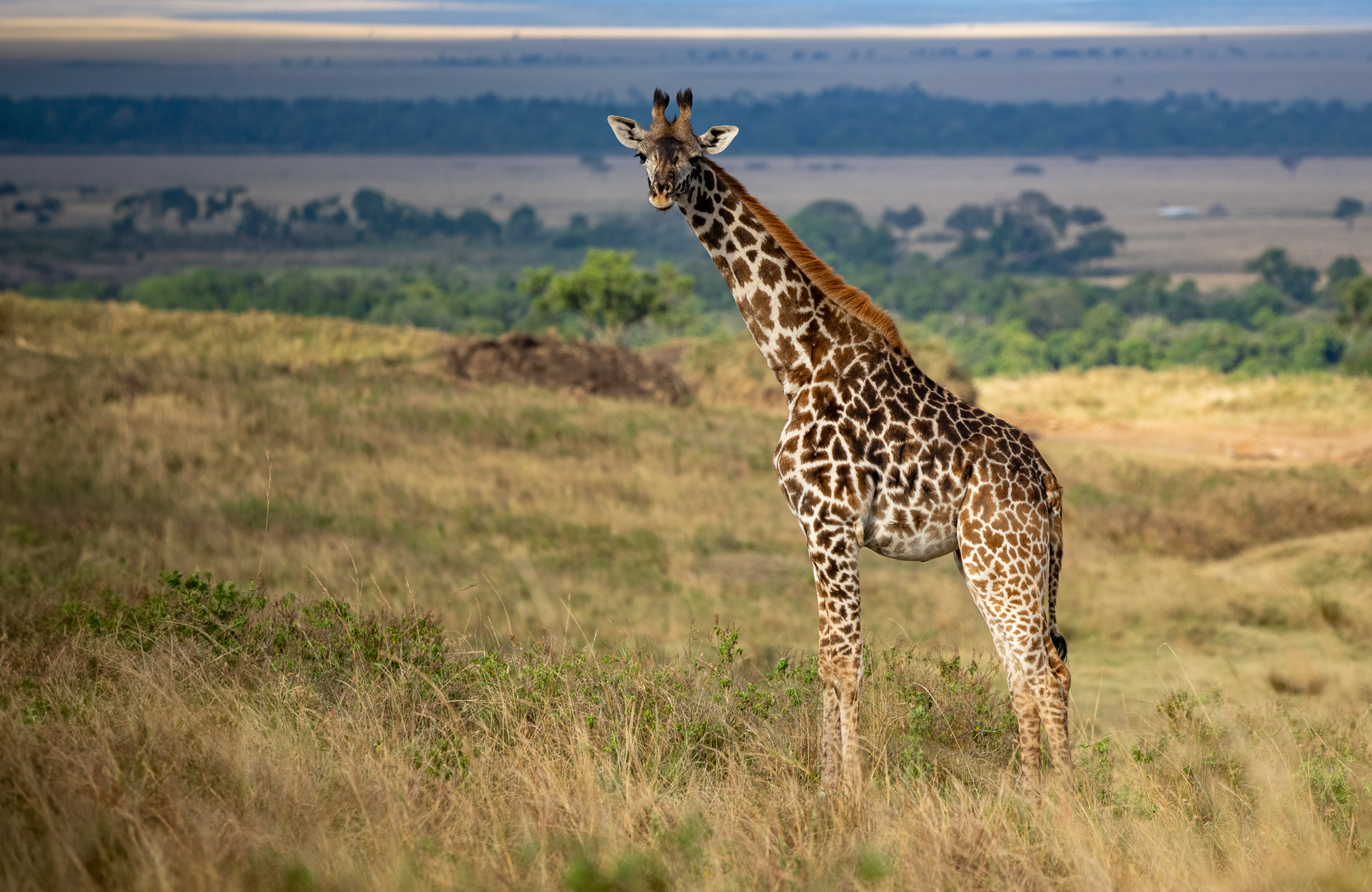 Kenya 2024-37