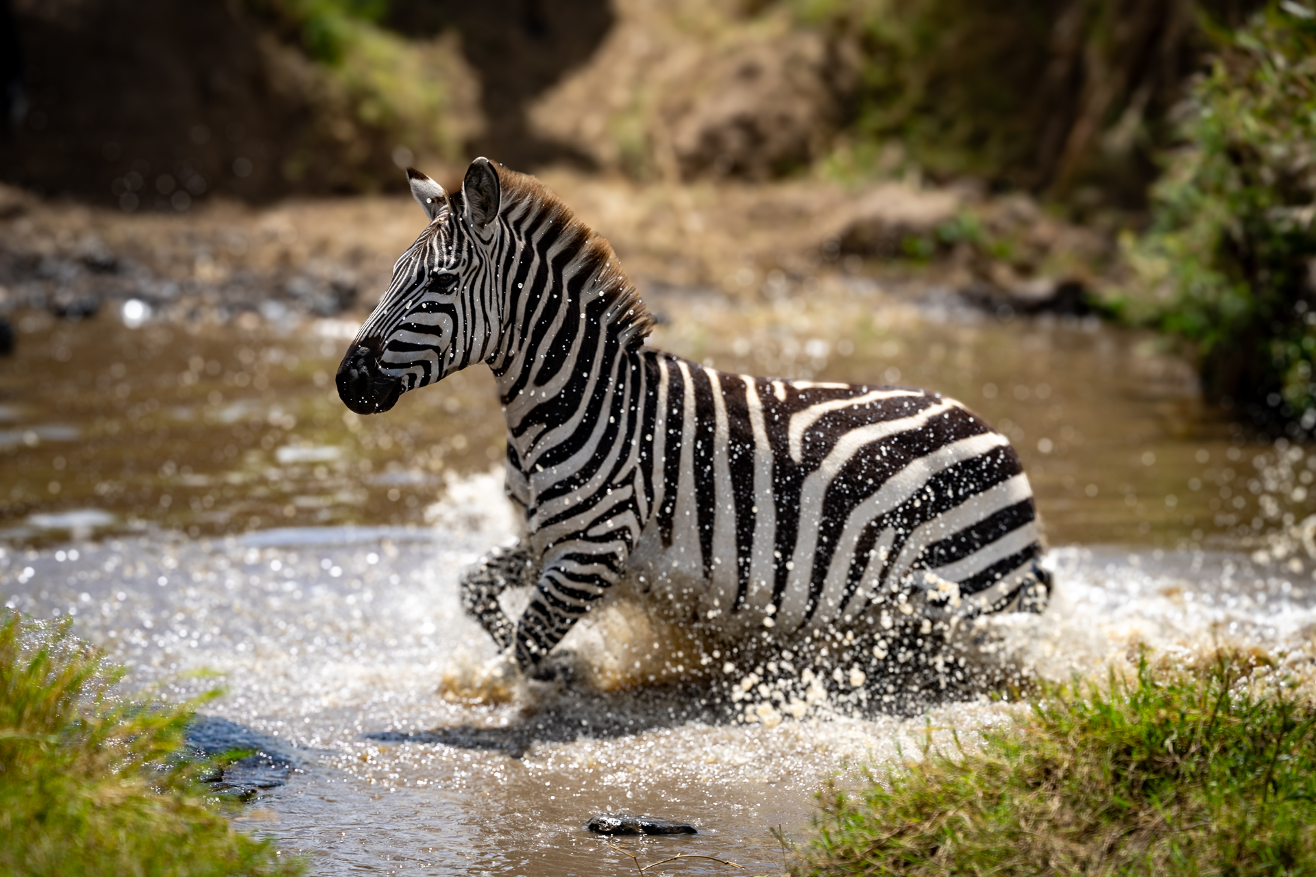 Kenya 2024-49