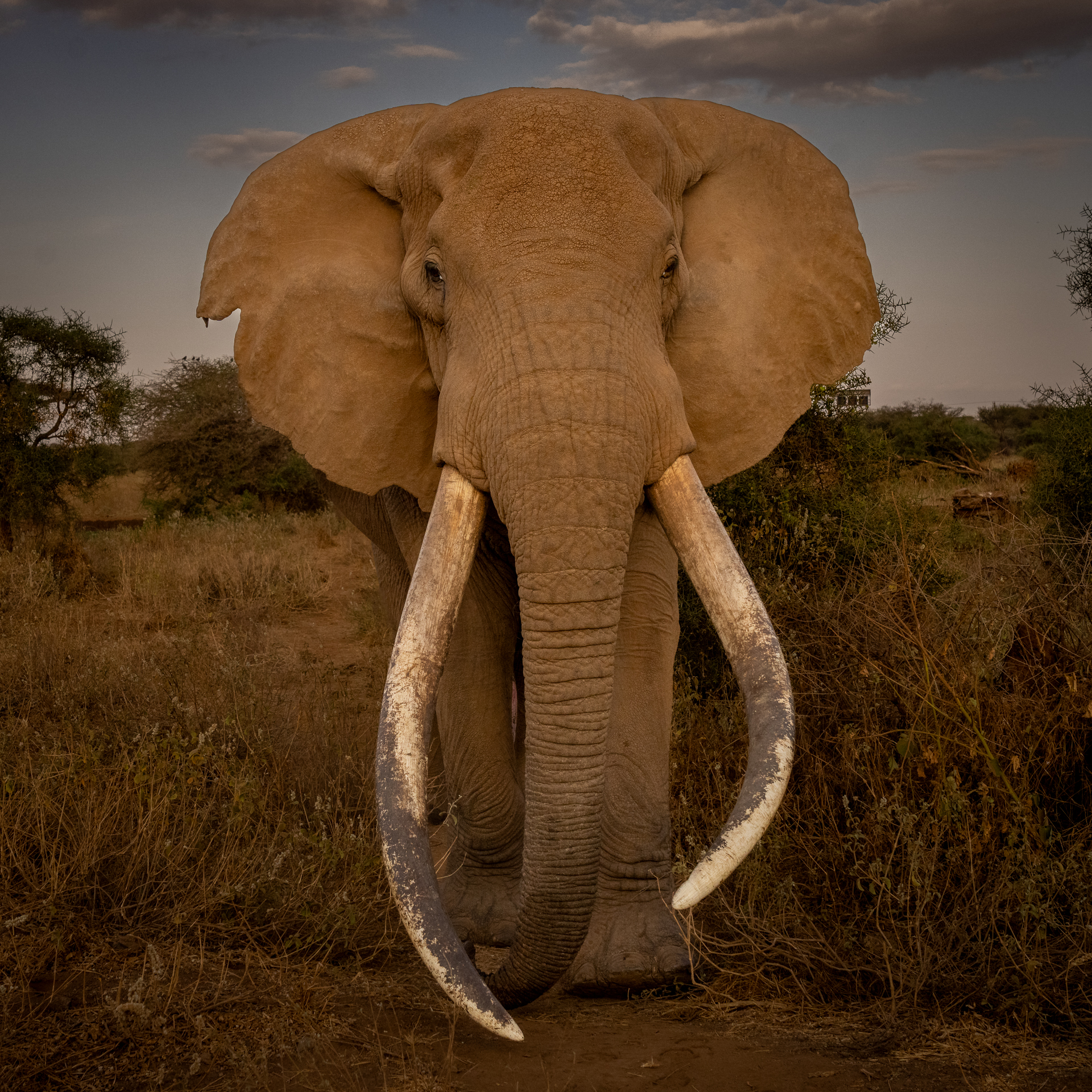Kenya 2024-54