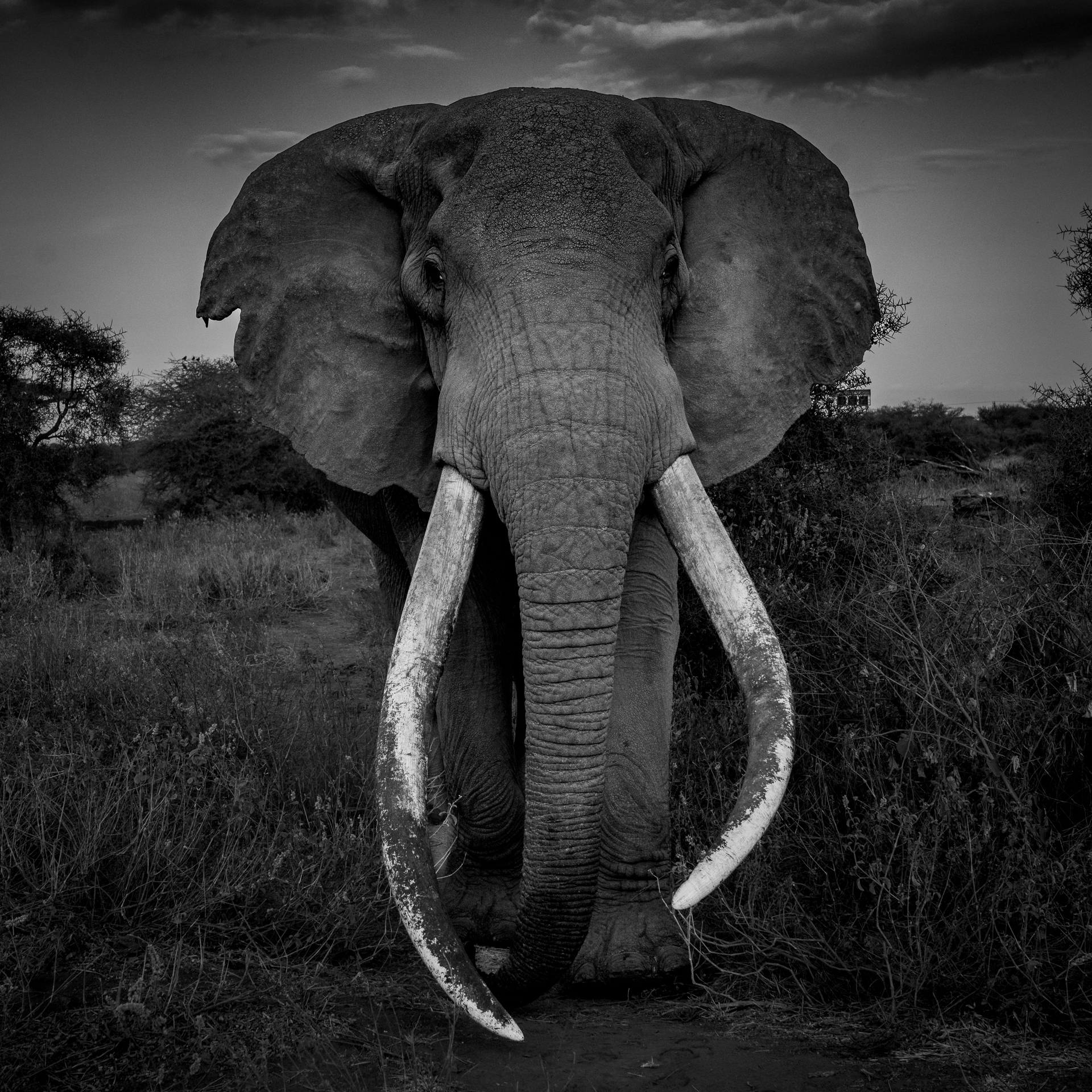 Kenya 2024-55