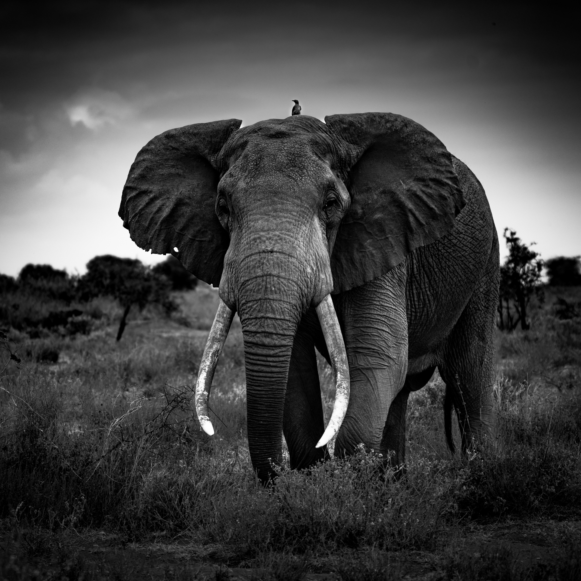 Kenya 2024-58