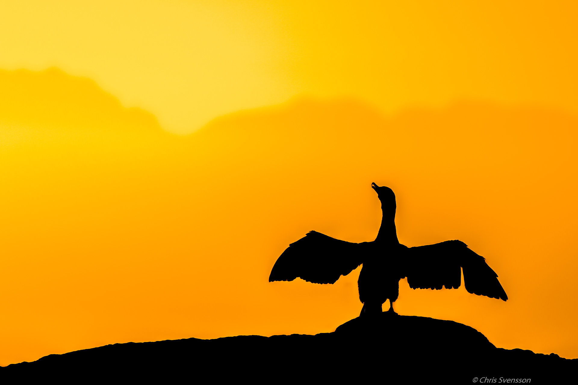 South Afrika-10