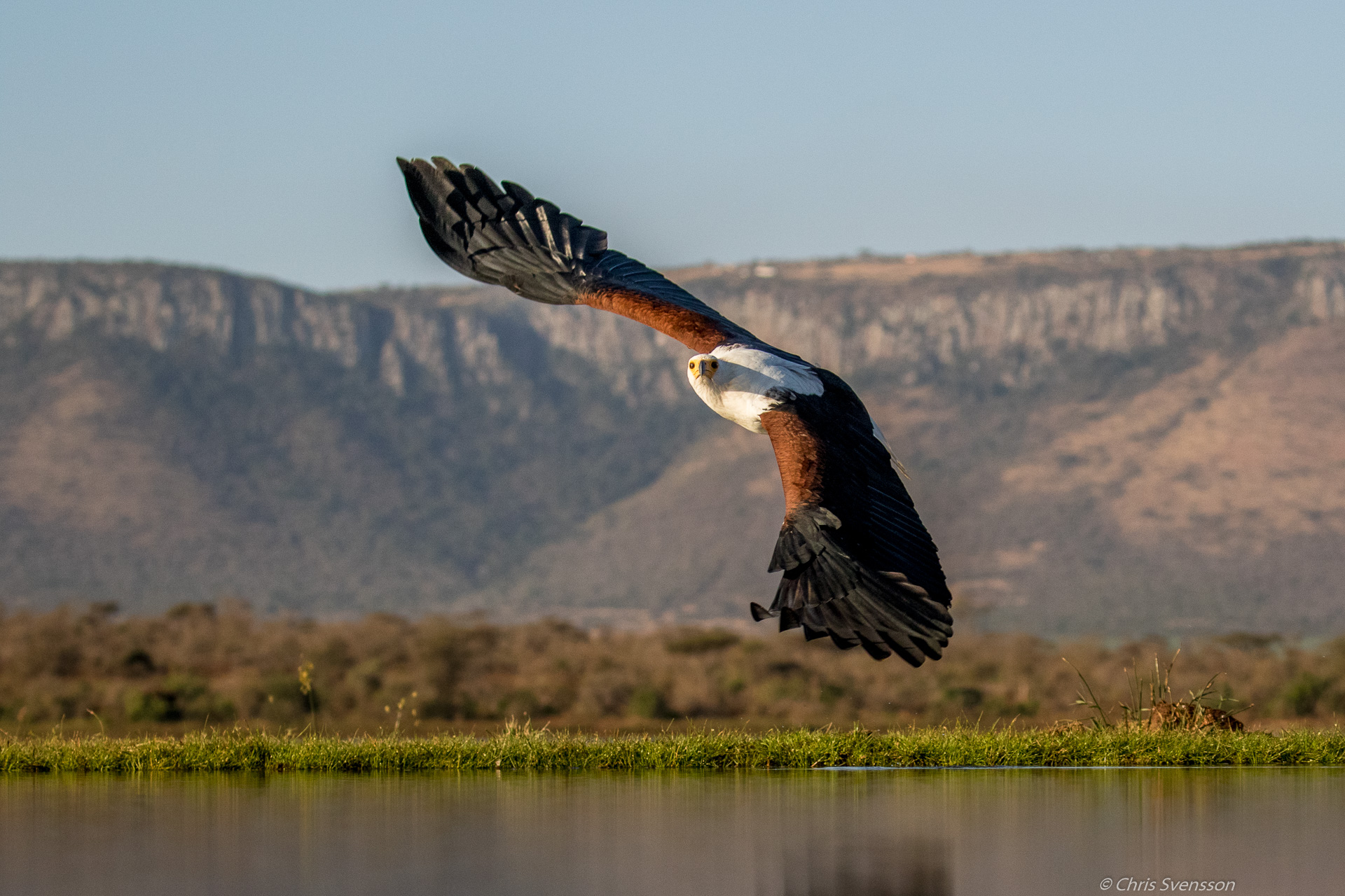 South Afrika-2