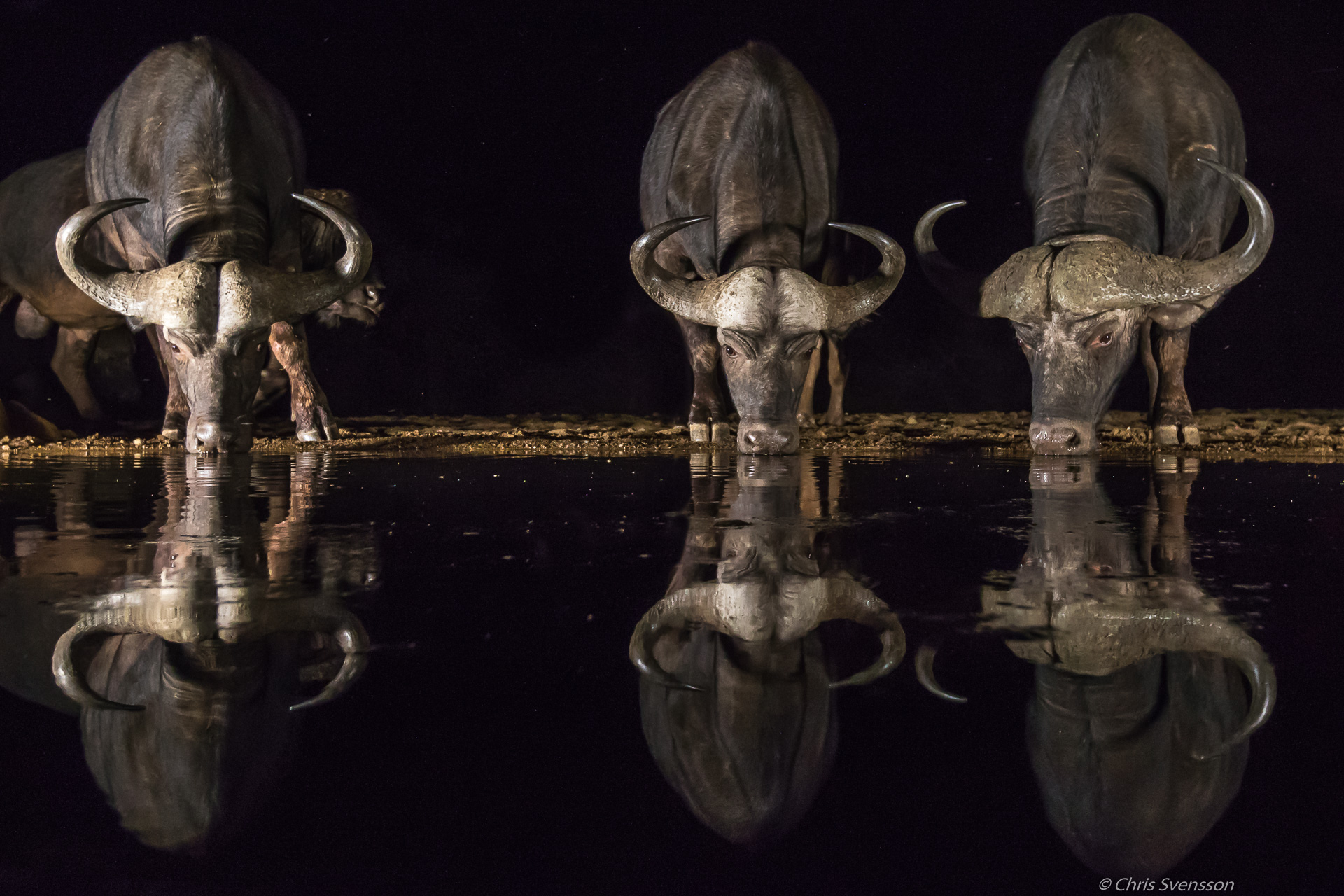South Afrika-6