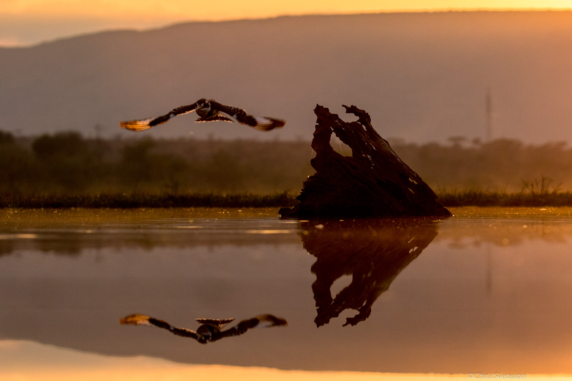 South Afrika-7